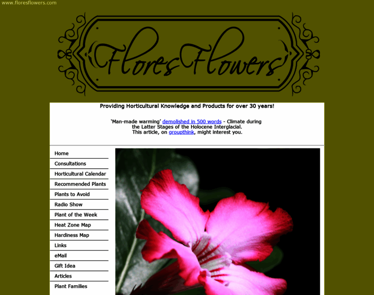Floresflowers.com thumbnail