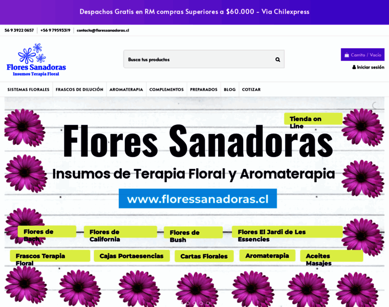 Floressanadoras.cl thumbnail
