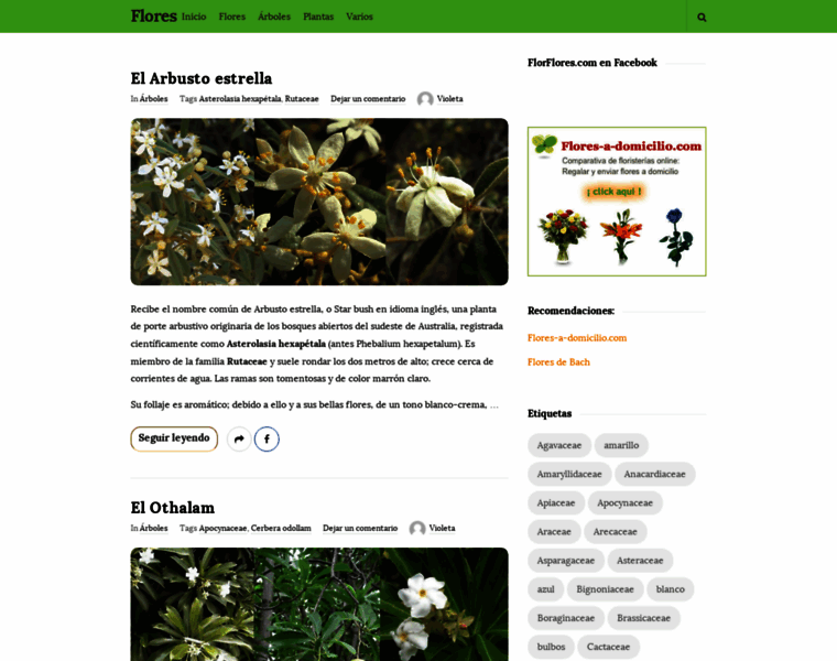 Florflores.com thumbnail