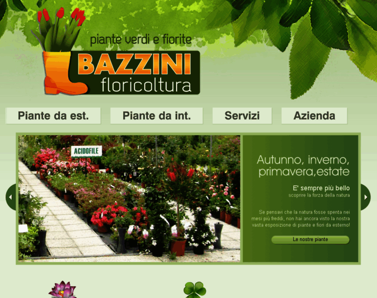 Floricolturabazzini.com thumbnail