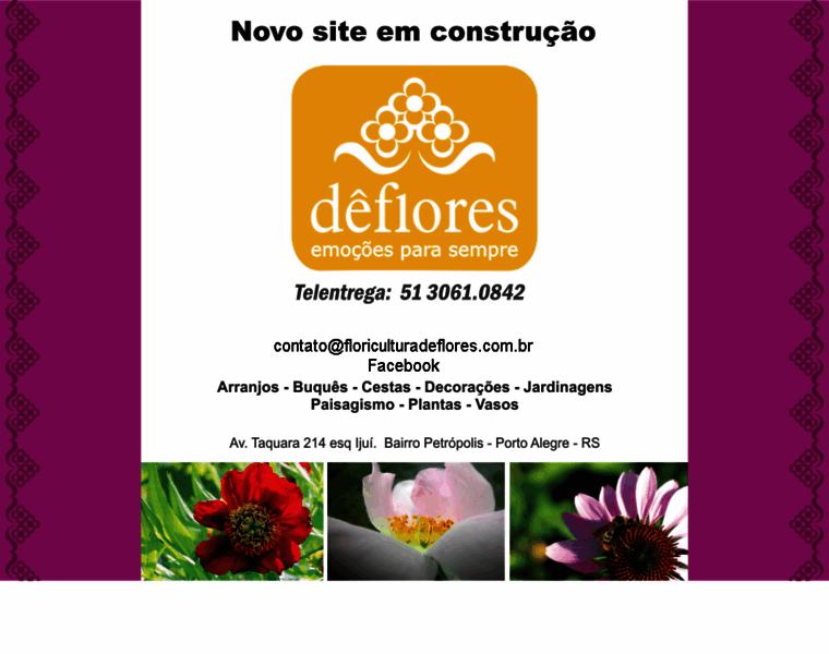 Floriculturadeflores.com.br thumbnail