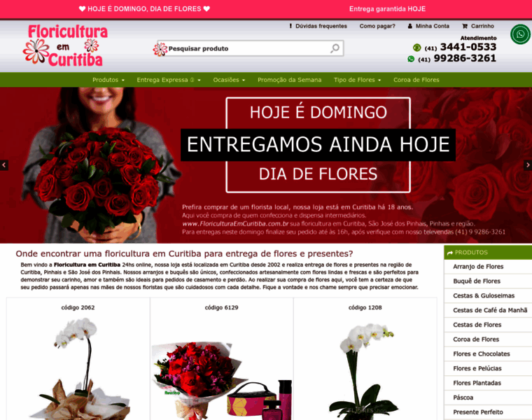 Floriculturaemcuritiba.com.br thumbnail