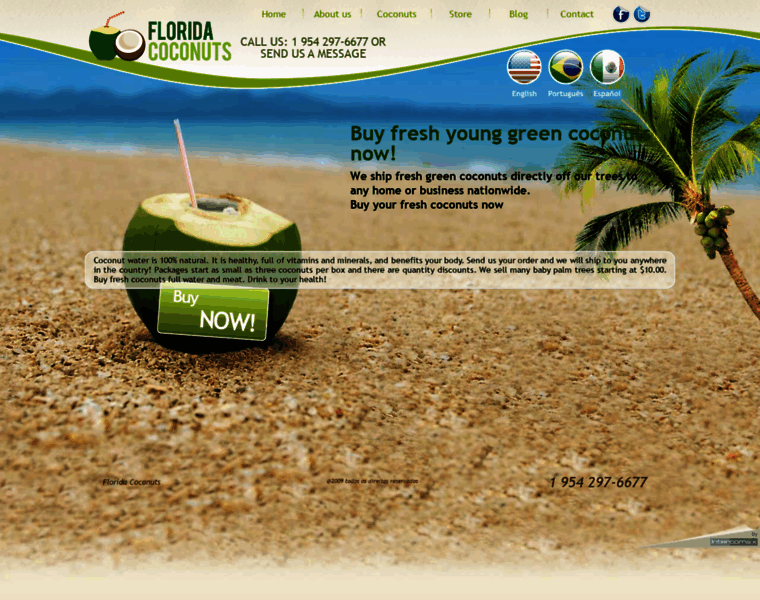 Florida-coconuts.com thumbnail