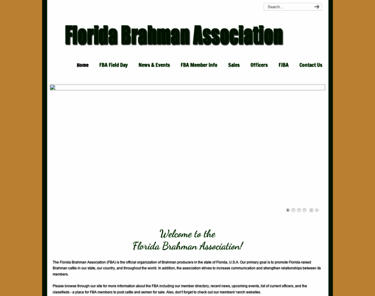 Floridabrahman.org thumbnail