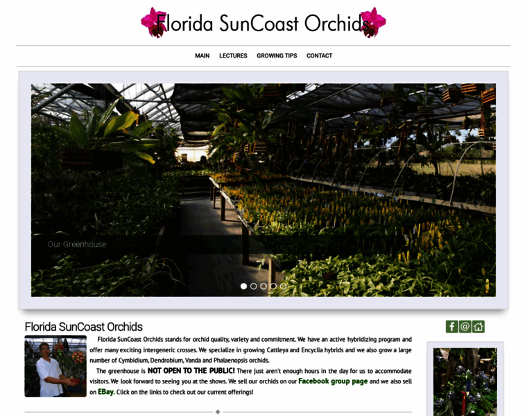 Floridasuncoastorchids.com thumbnail