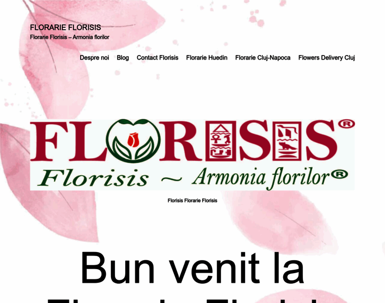 Florisis.ro thumbnail