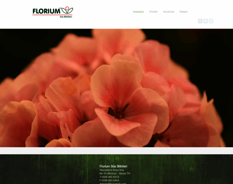 Floriumsb.com thumbnail
