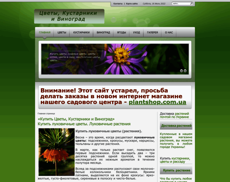 Flower-grapes.com.ua thumbnail