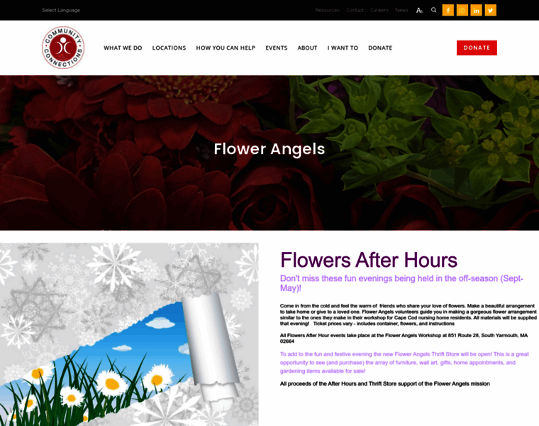 Flowerangelsusa.org thumbnail