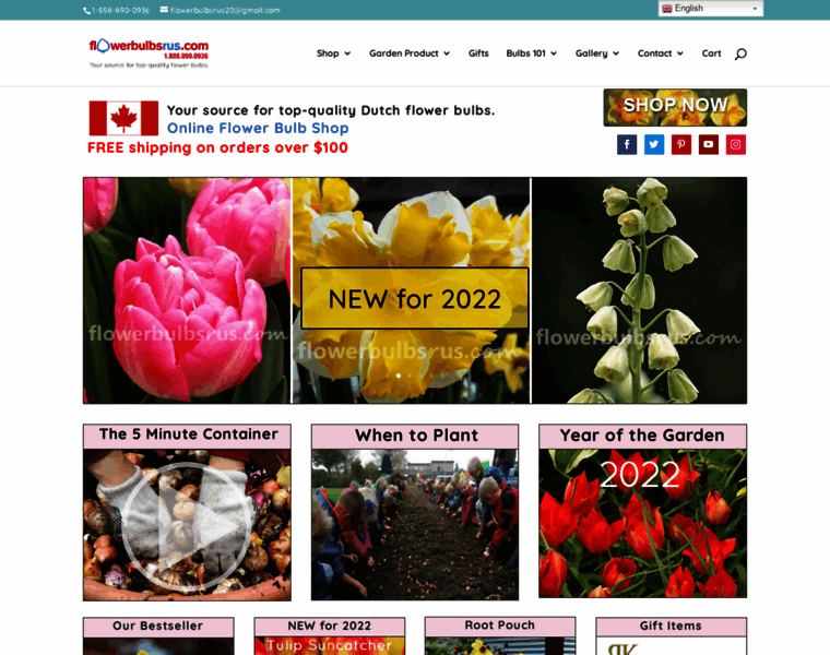 Flowerbulbsrus.com thumbnail