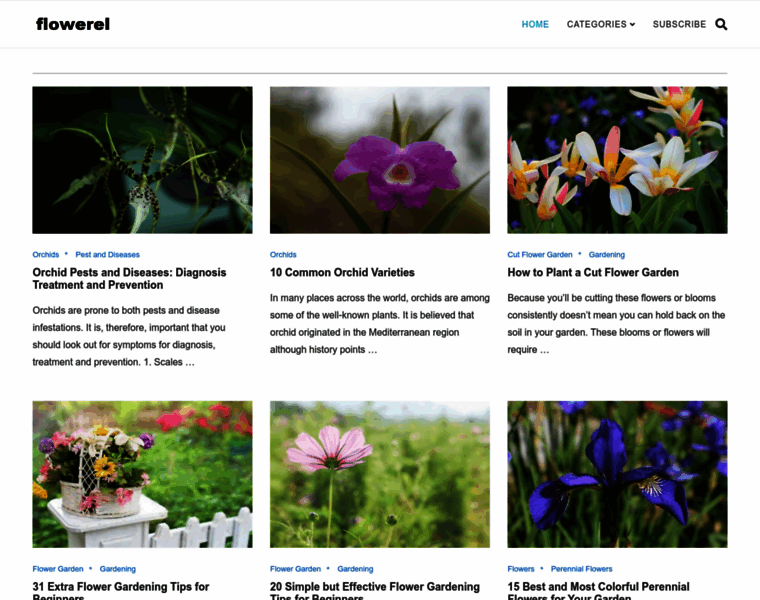 Flowerel.com thumbnail
