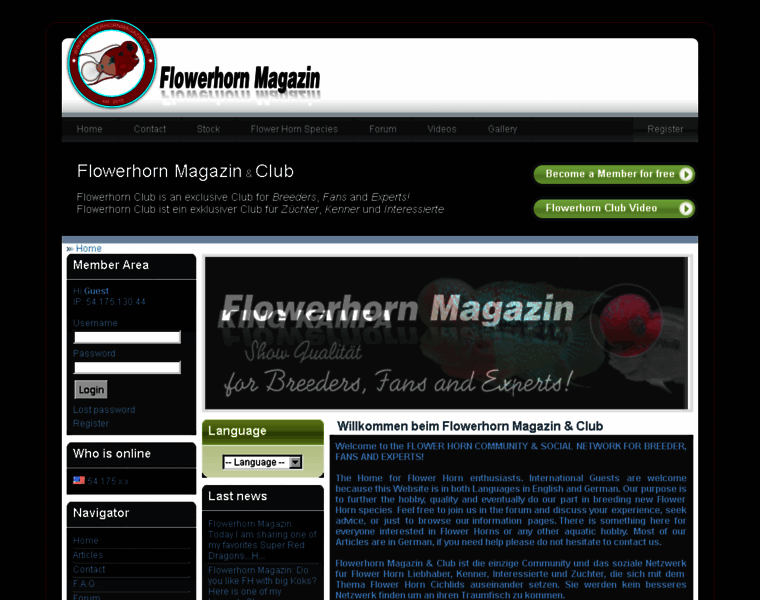 Flowerhornmagazin.com thumbnail