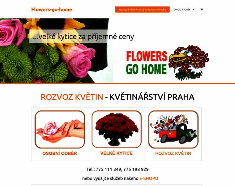 Flowers-go-home.cz thumbnail