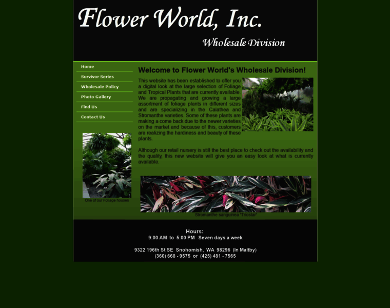 Flowerworldwholesale.com thumbnail