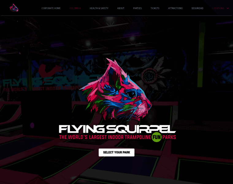 Flyingsquirrelsports.co thumbnail