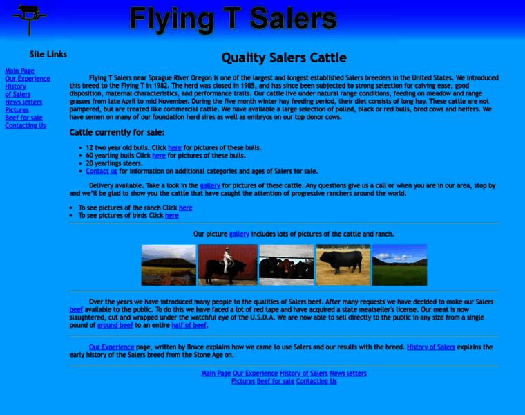 Flyingtsalers.com thumbnail