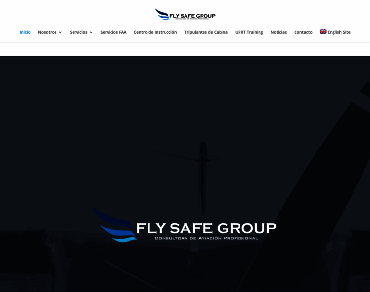 Flysafegroup.com thumbnail