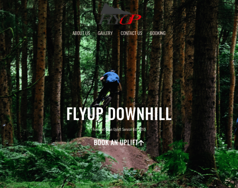 Flyupdownhill.co.uk thumbnail