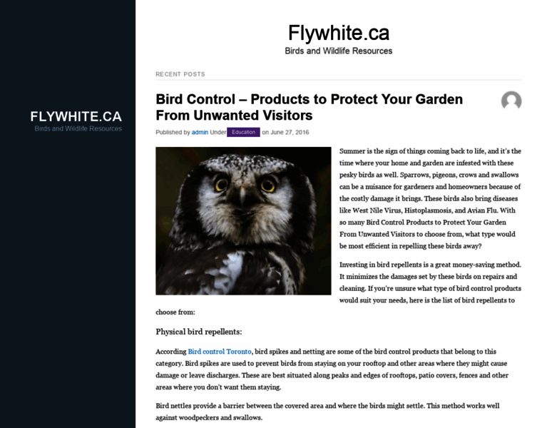 Flywhite.ca thumbnail