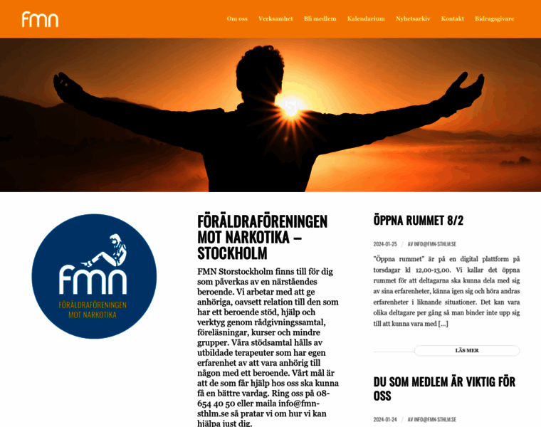 Fmn-sthlm.se thumbnail