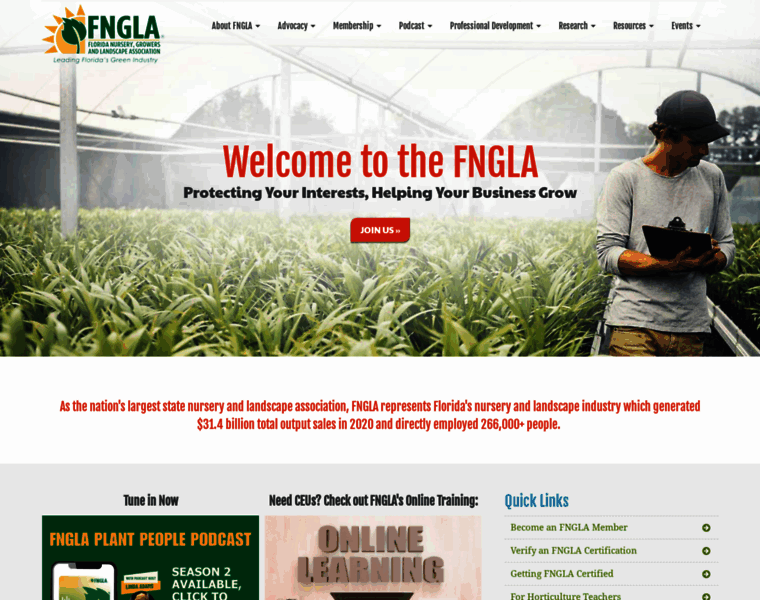 Fngla.org thumbnail