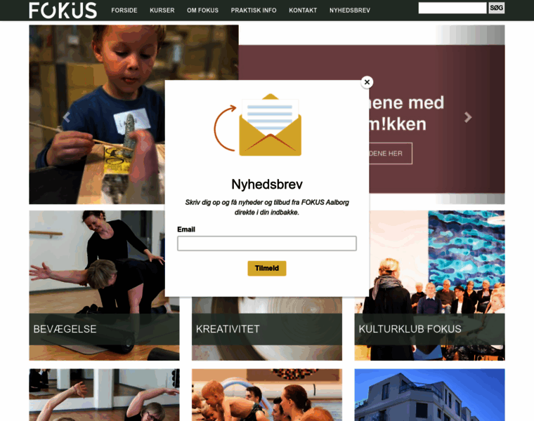 Fokus-folkeoplysning.dk thumbnail