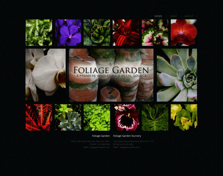 Foliagegarden.com thumbnail