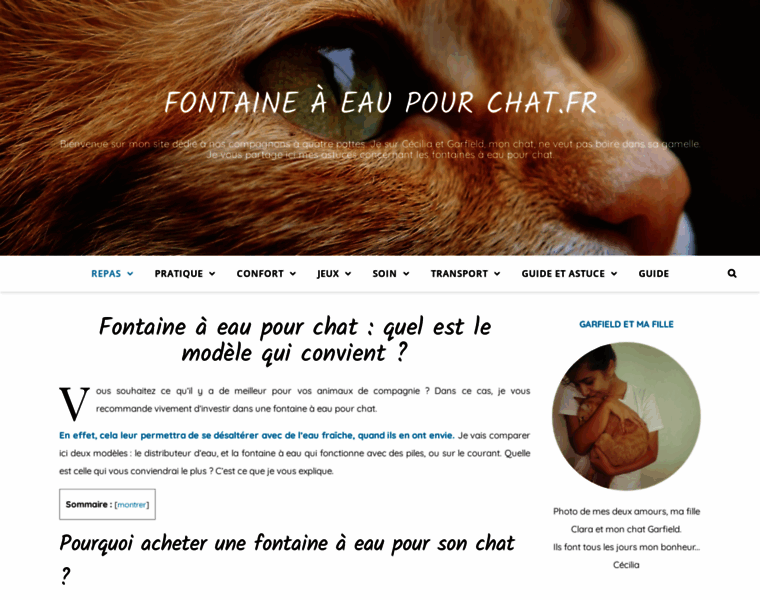 Fontaineaeaupourchat.fr thumbnail