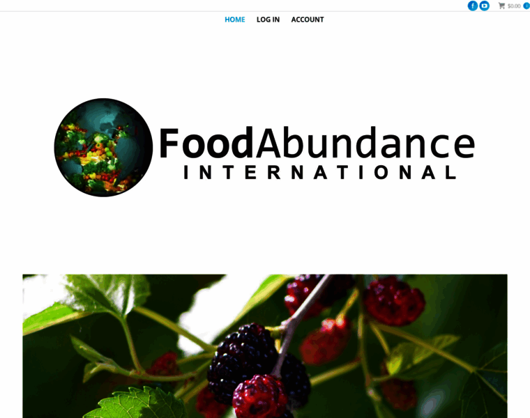 Foodabundance.com thumbnail