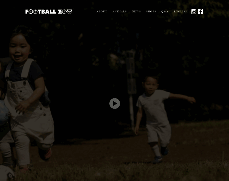 Footballzoo.com thumbnail