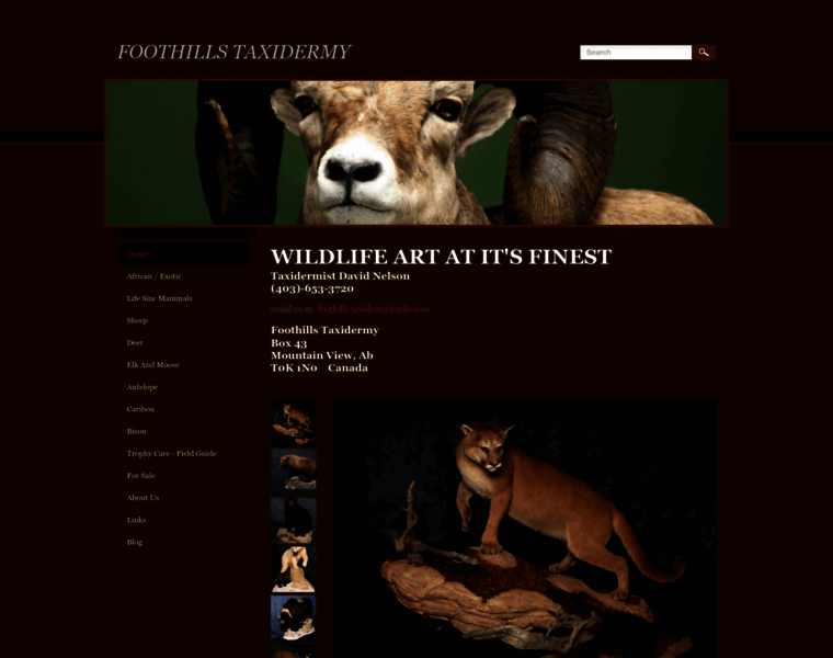 Foothillstaxidermy.ca thumbnail Foothillstaxidermy.ca thumbnail