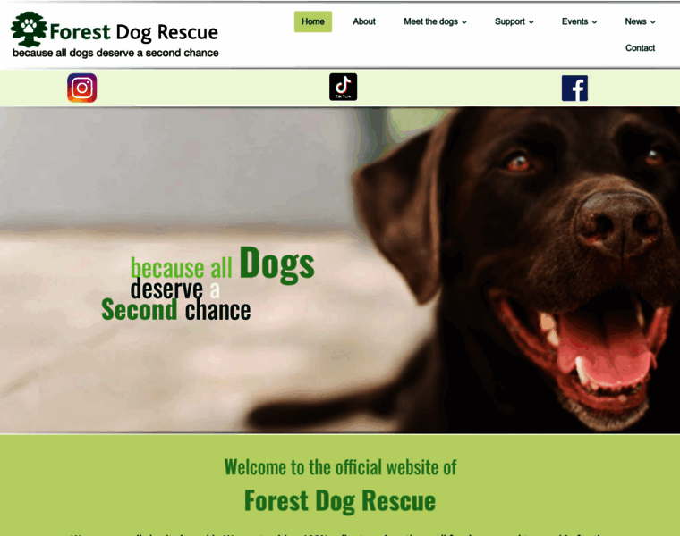 Forest-dog-rescue.org.uk thumbnail
