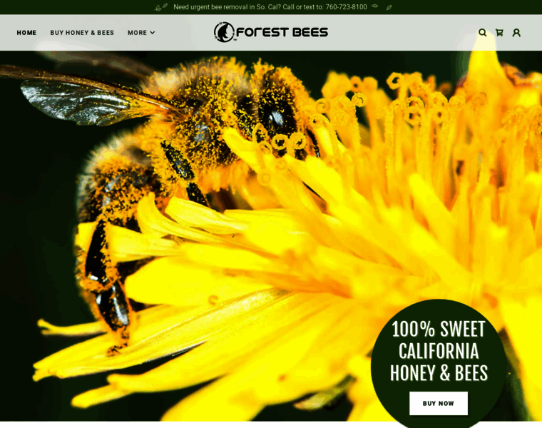 Forestbees.com thumbnail