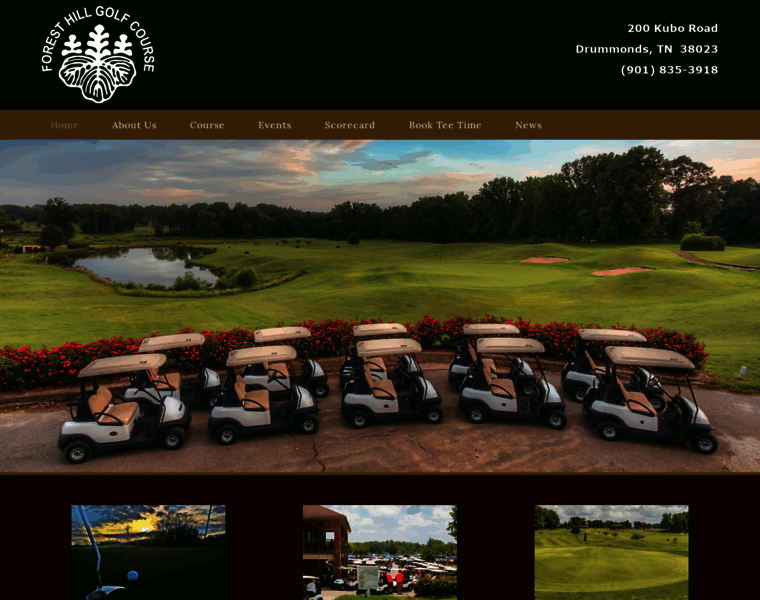 Foresthillgolfcourse.com thumbnail