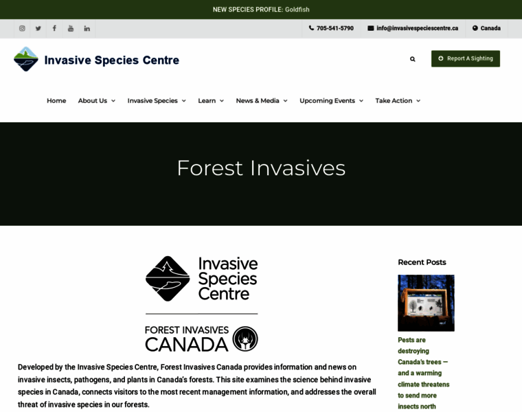 Forestinvasives.ca thumbnail