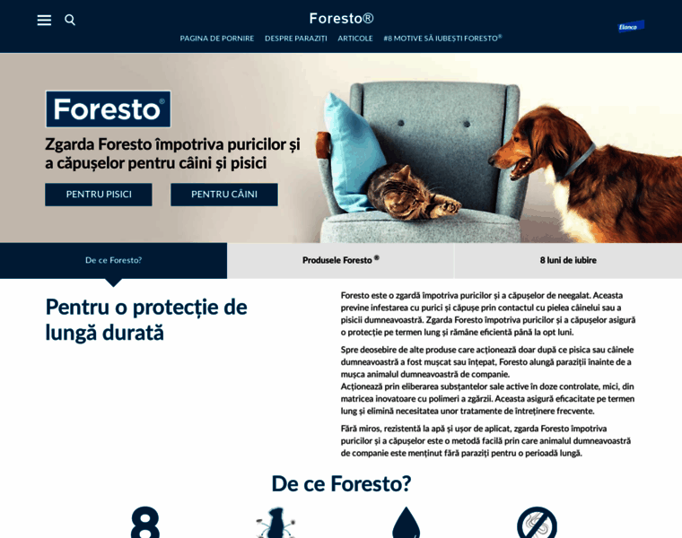 Foresto.ro thumbnail