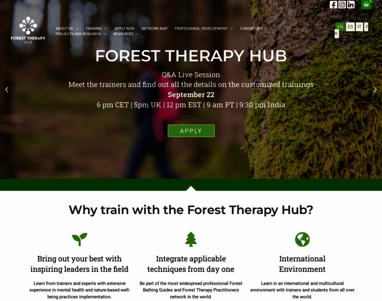 Foresttherapyinstitute.com thumbnail