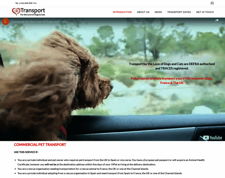 Fortheloveofdogsandcatstransport.com thumbnail