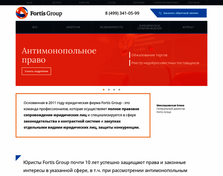 Fortis-audit.ru thumbnail