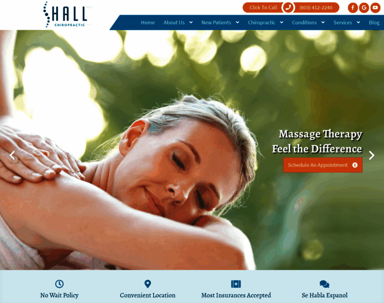 Fortmill-chiropractor.com thumbnail