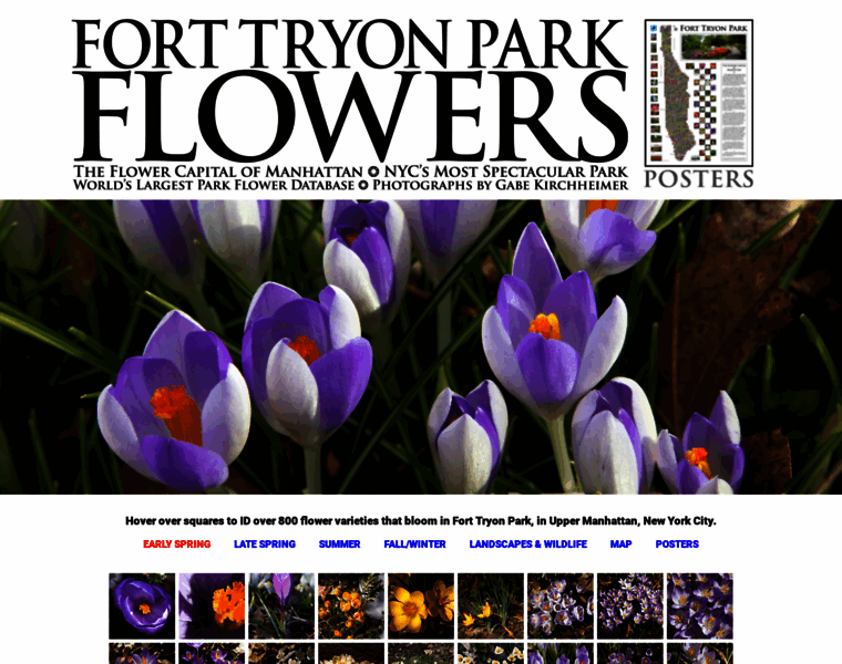 Forttryonflowers.com thumbnail