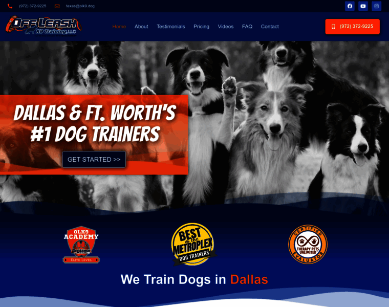 Fortworthdogtrainers.com thumbnail