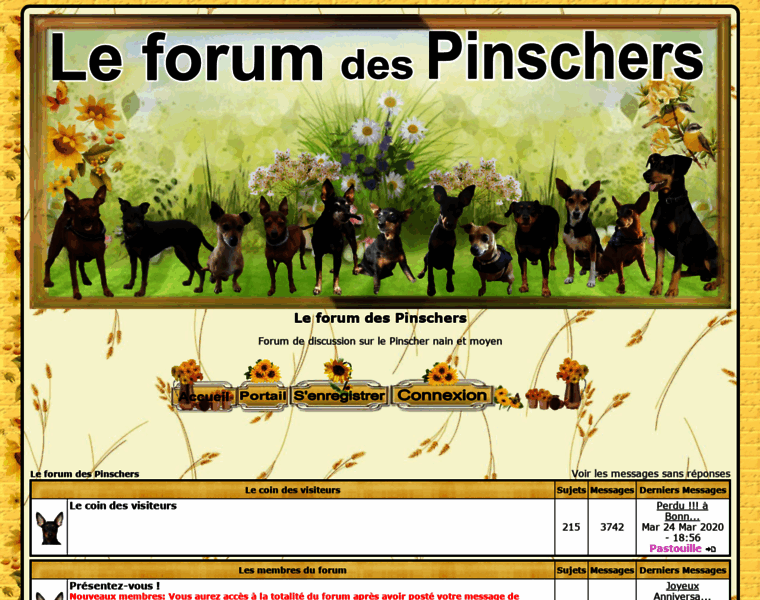Forum-pinscher.com thumbnail