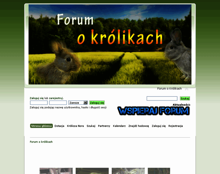 Forum.hodowla-krolikow.pl thumbnail