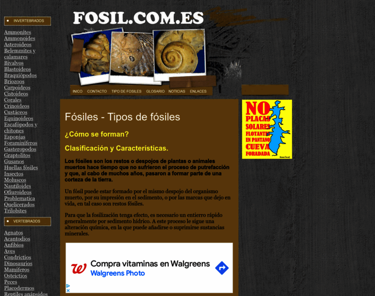 Fosil.com.es thumbnail