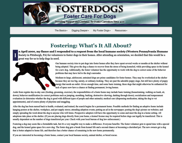 Fosterdogs.com thumbnail