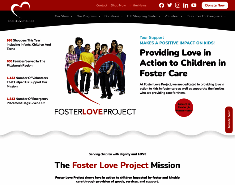 Fosterloveproject.org thumbnail
