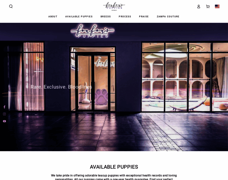 Foufoupuppies.ae thumbnail