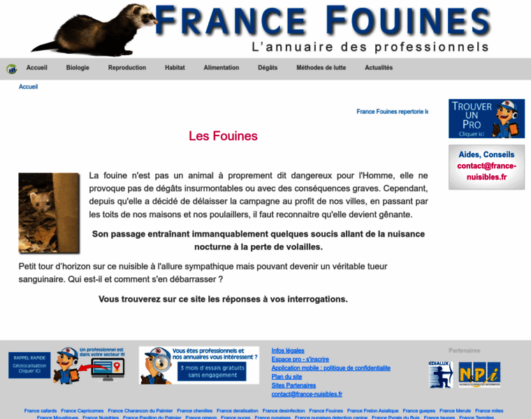 Fouines.net thumbnail