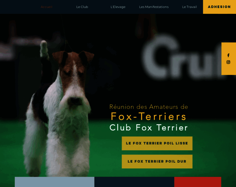 Fox-terrier.org thumbnail
